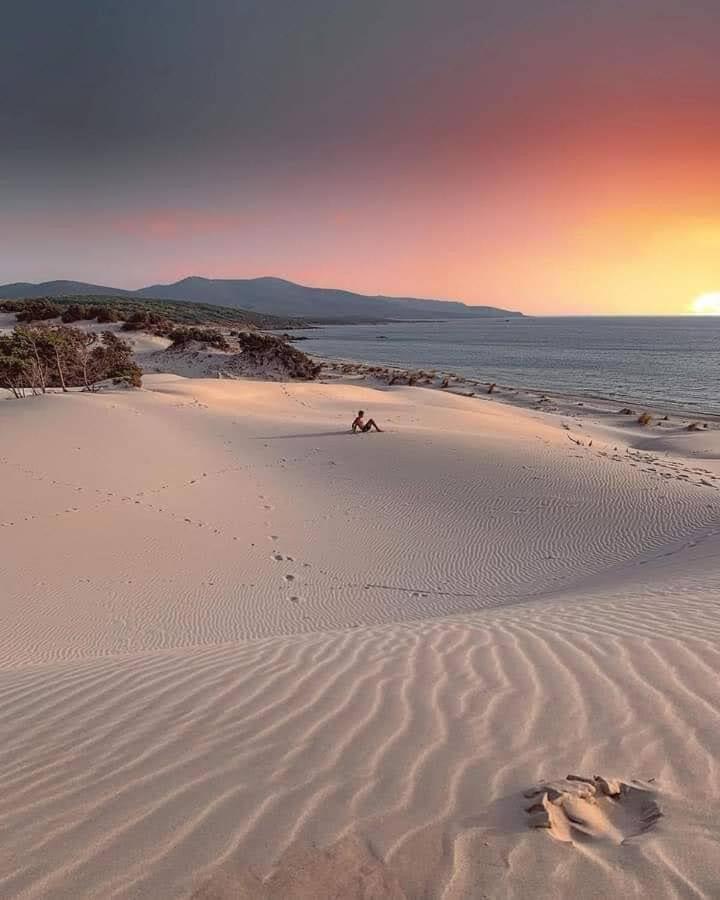 Case Vacanze Il Sogno 2 Porto Pino Δωμάτιο φωτογραφία